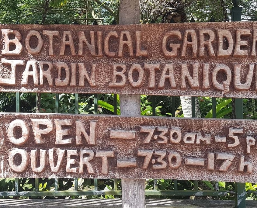 Ботанический сад Сейшельские острова