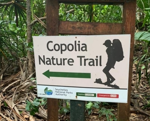 Camino natural de Copolia