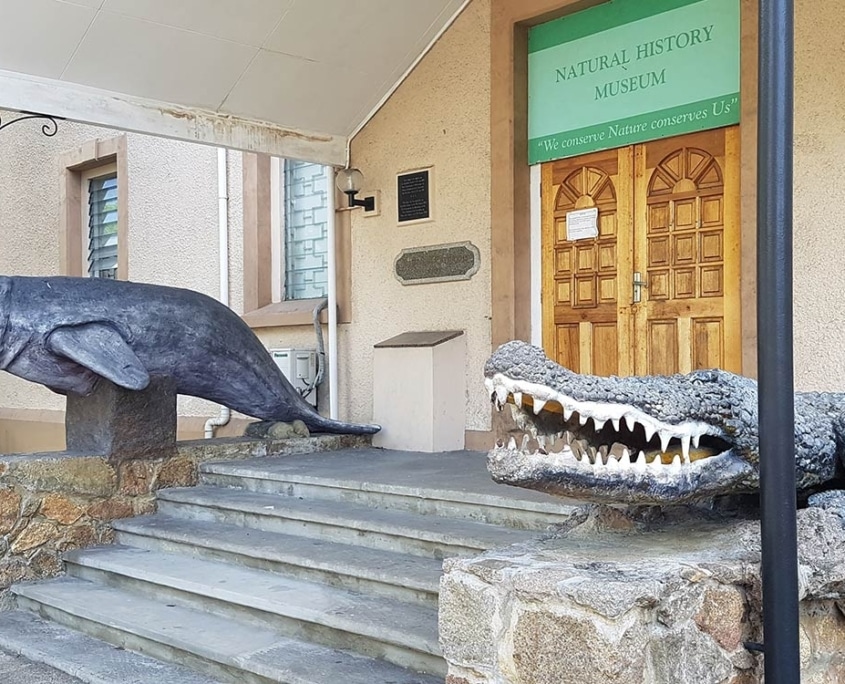 Természettudományi Múzeum Seychelle-szigeteki tevékenységek