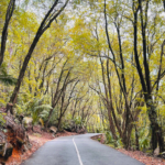 Get Your Guide. Tour to the South of Mahé with one of our Vehicles