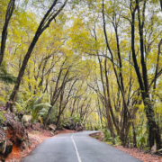 Get Your Guide. Tour to the South of Mahé with one of our Vehicles