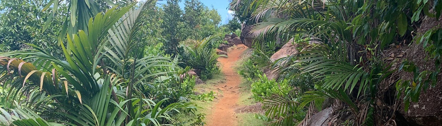 Anse Major Trails