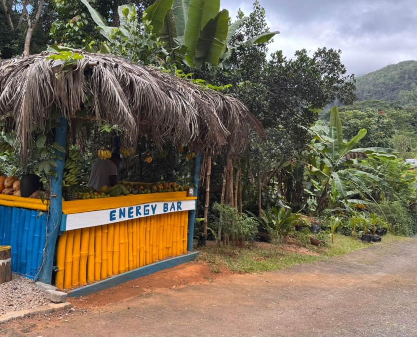 fruitbar at vallee des fruits
